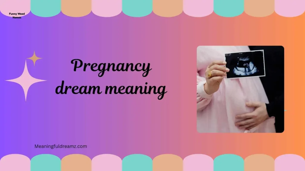 Types / Categories / Variations of Pregnancy Dream Meaning