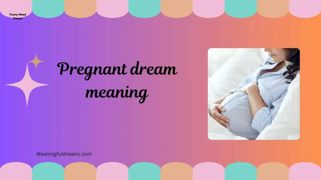 Types / Categories / Variations of Pregnant Dreams