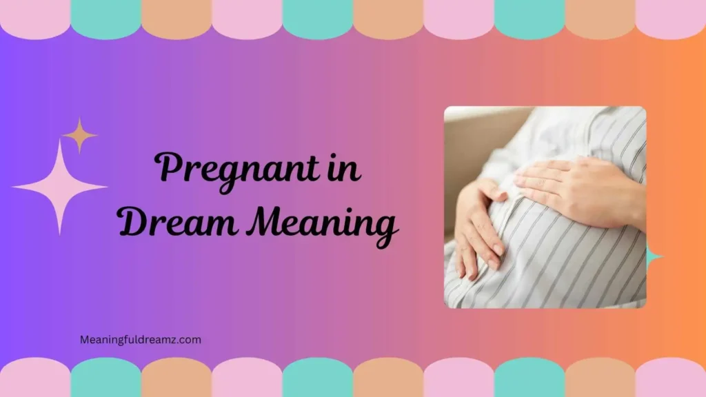 Types / Categories / Variations of Pregnant in Dream Meaning