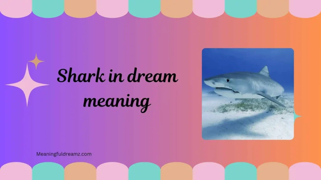Types / Categories / Variations of Shark in Dream Meaning