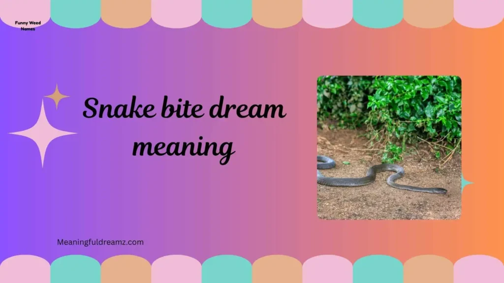 Types / Categories / Variations of Snake Bite Dreams