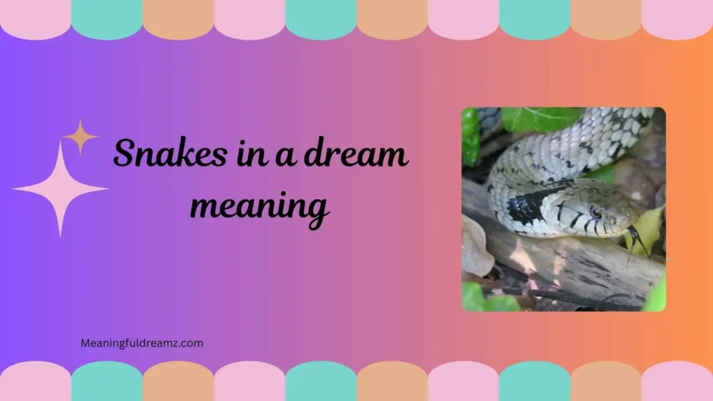  Types / Categories / Variations of Snakes in Dreams