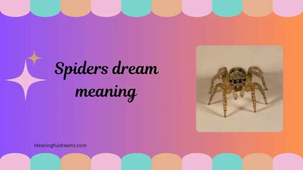 Types / Categories / Variations of Spiders Dream Meaning
