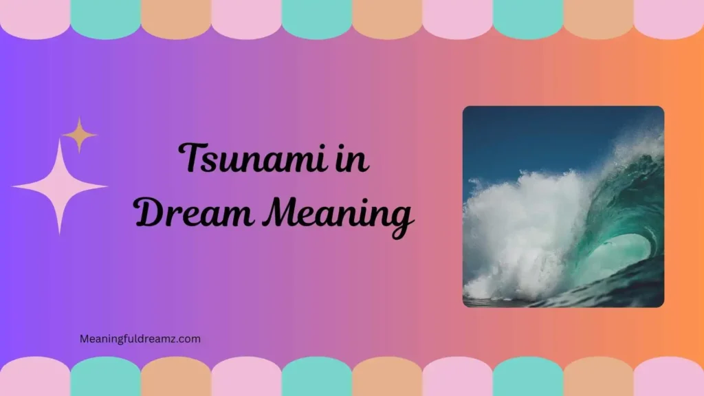 Types / Categories / Variations of Tsunami Dreams