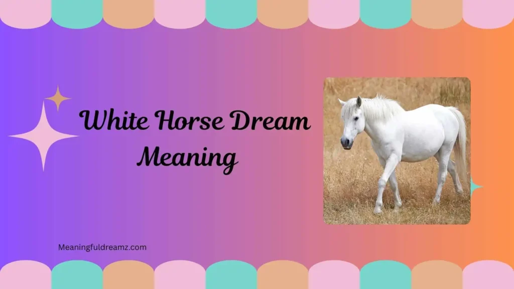 Types / Categories / Variations of White Horse Dream Meaning