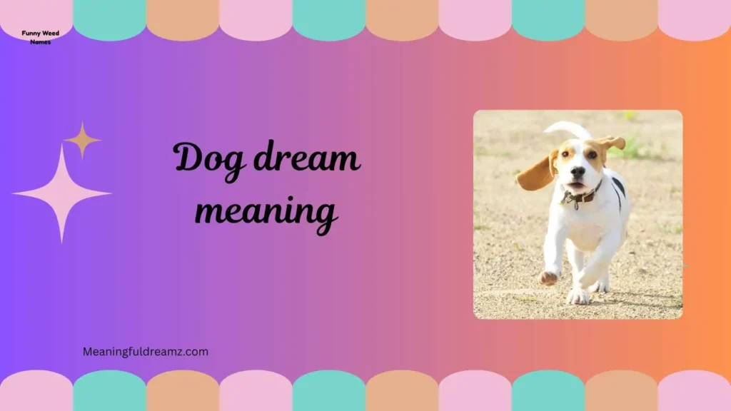 Types of Dog Dream Meaning Variations
