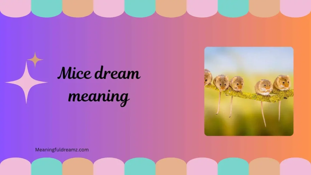 Types of Mice Dreams and Their Meanings