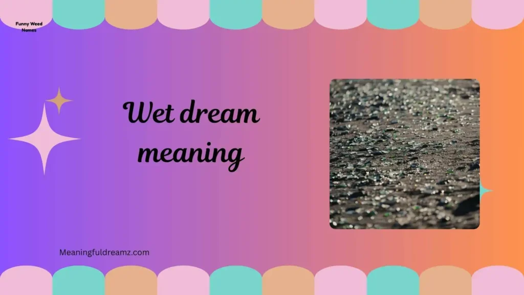 Types / Variations of Wet Dreams