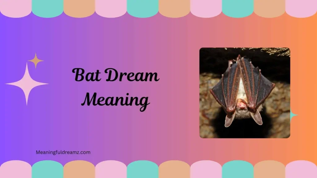 What is Bat Dream Meaning?