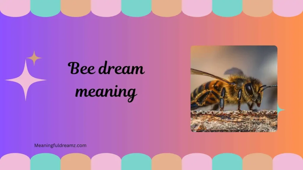 What is Bee Dream Meaning?