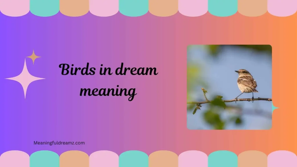 What Is Birds in Dream Meaning?