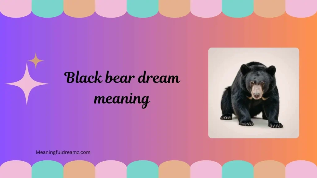 What is Black Bear Dream Meaning?