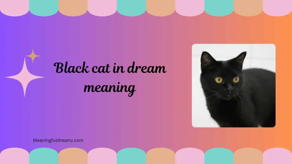 What Is Black Cat in Dream Meaning?