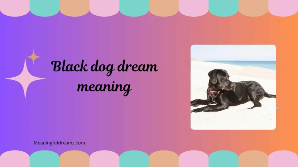 What is Black Dog Dream Meaning?