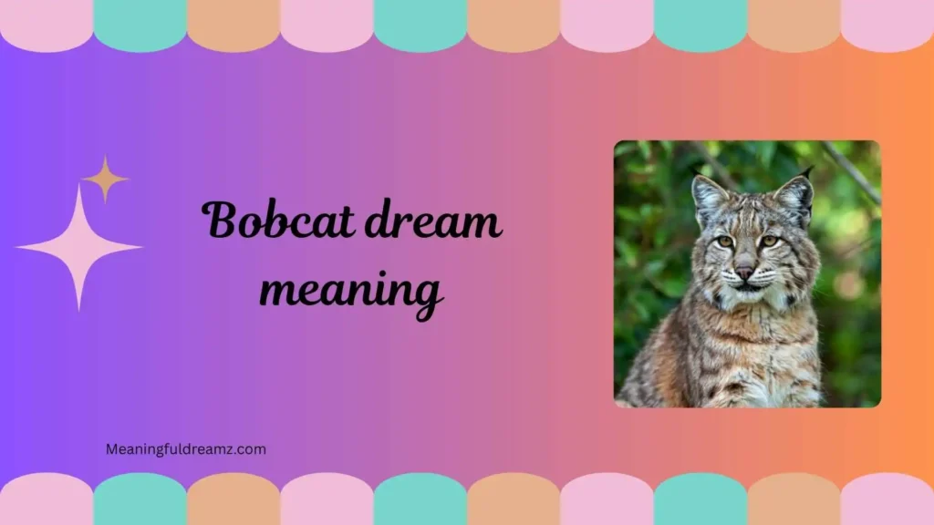What Is Bobcat Dream Meaning?