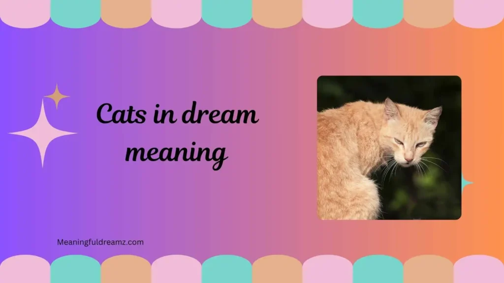 What is Cats in Dream Meaning?