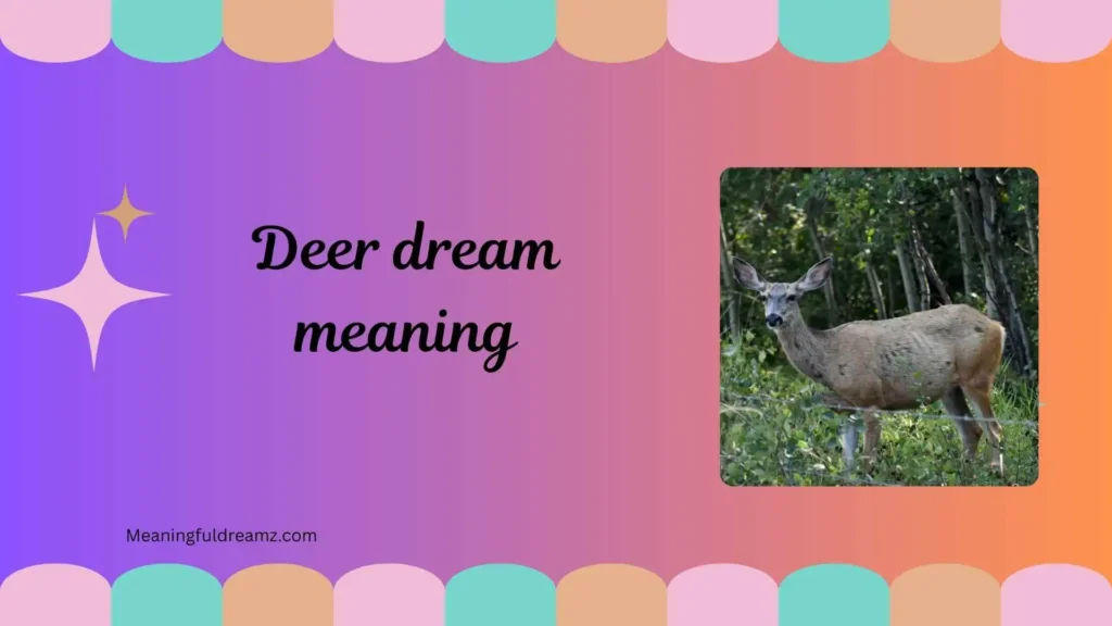 What is Deer Dream Meaning?