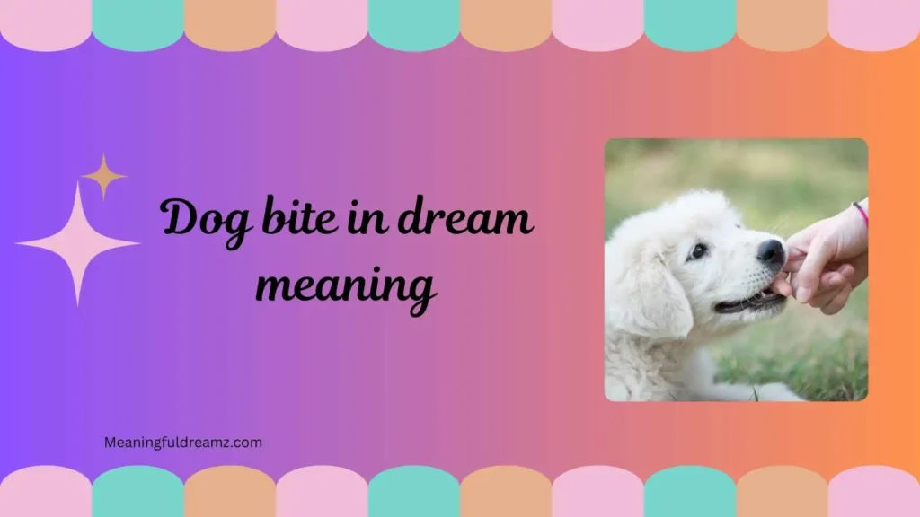 What Is Dog Bite in Dream Meaning?
