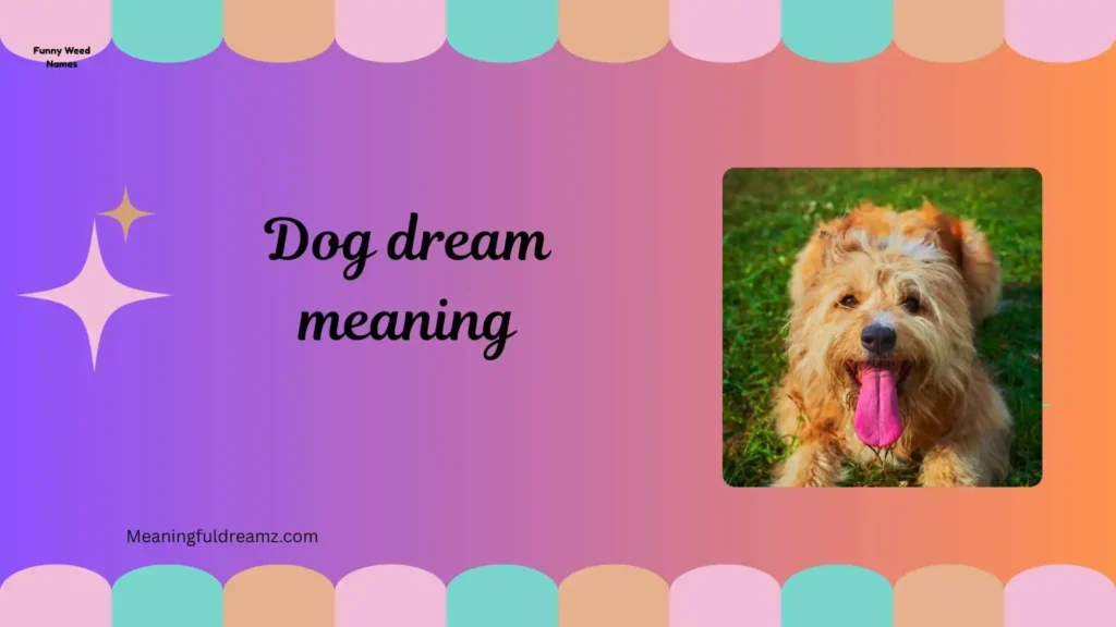 What is Dog Dream Meaning?
