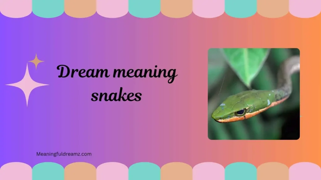 What is Dream Meaning Snakes?