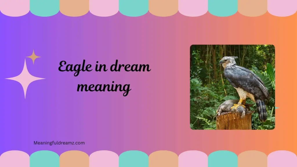 What is Eagle in Dream Meaning?