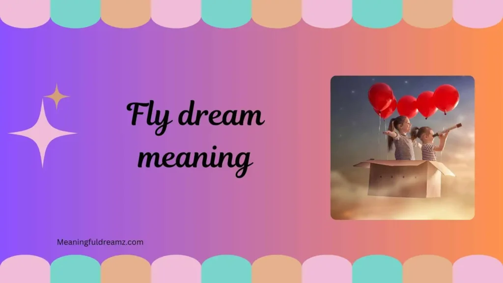 What Is Fly Dream Meaning?