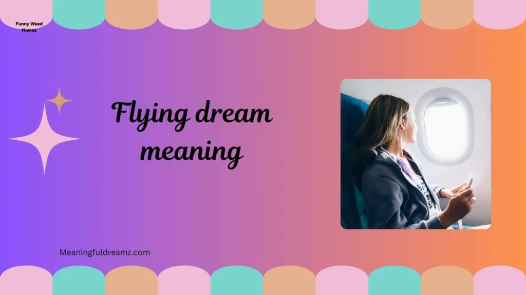 What is Flying Dream Meaning?