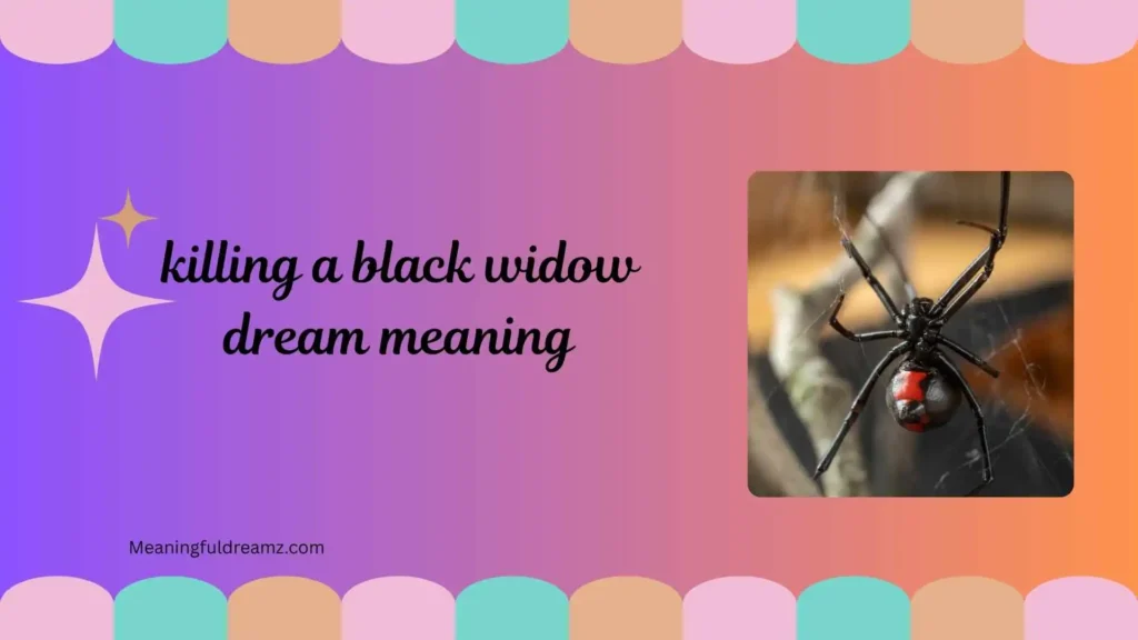 What is Killing a Black Widow Dream Meaning?