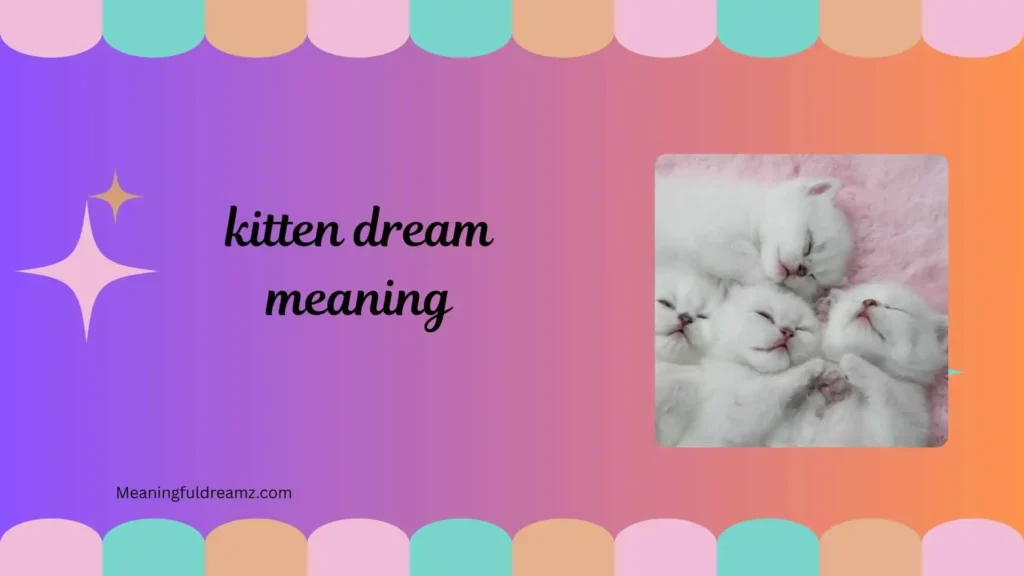 What is Kitten Dream Meaning?