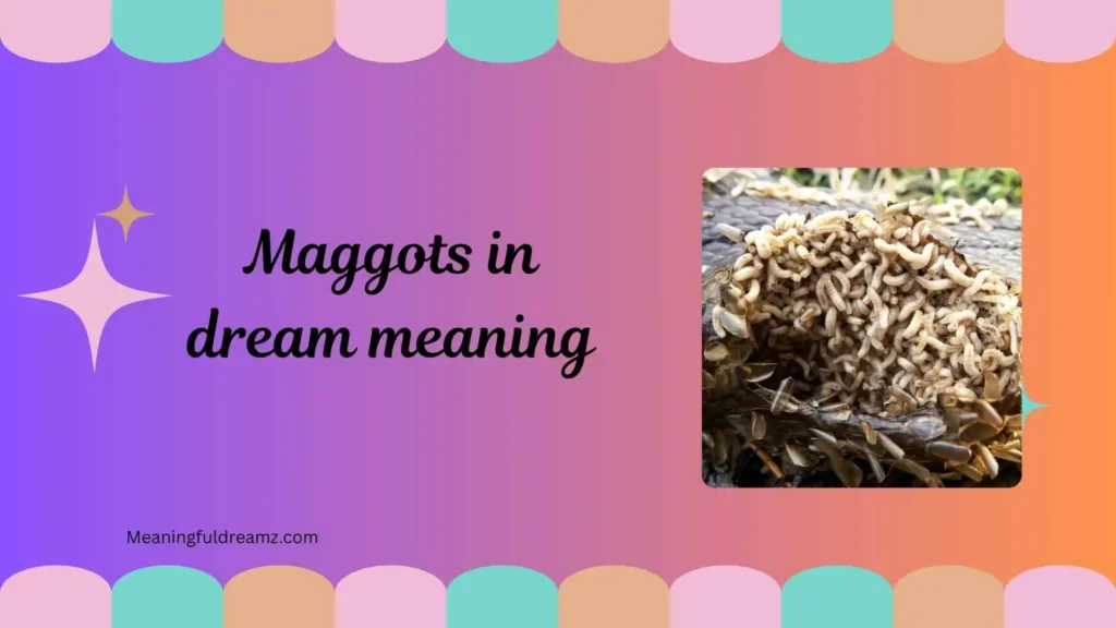 What is Maggots in Dream Meaning?