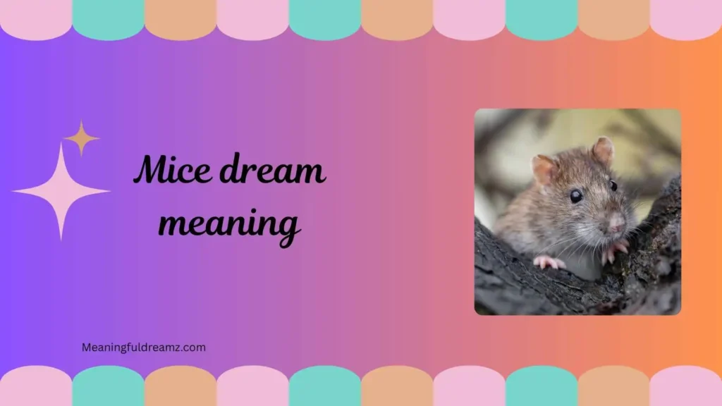 What Is Mice Dream Meaning?