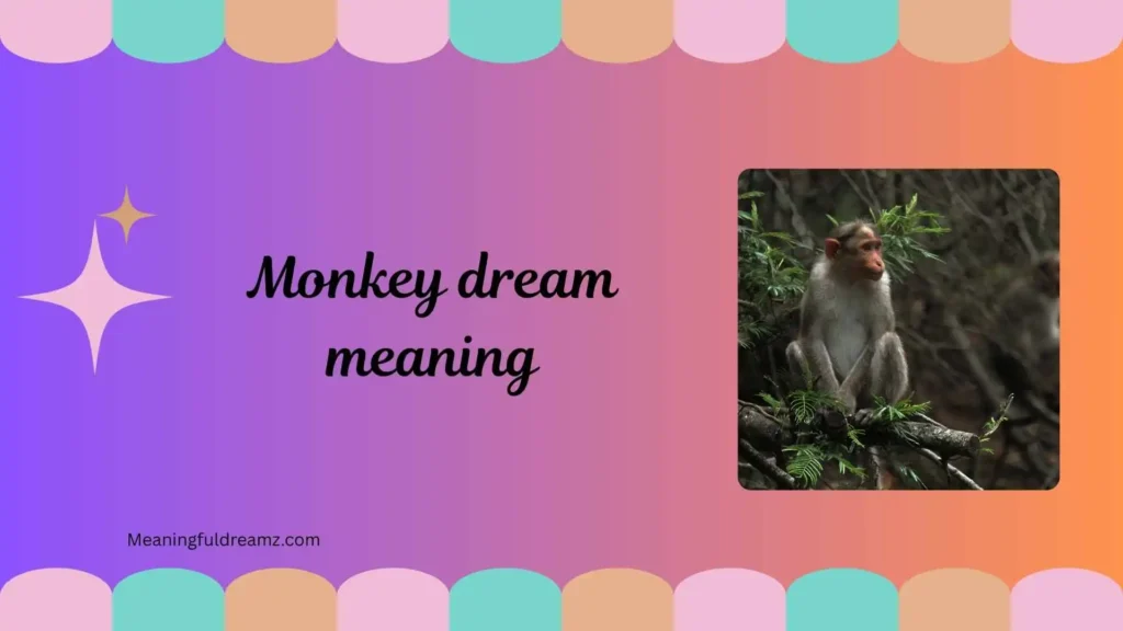 What Is Monkey Dream Meaning?
