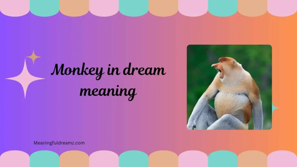 What Is Monkey in Dream Meaning?