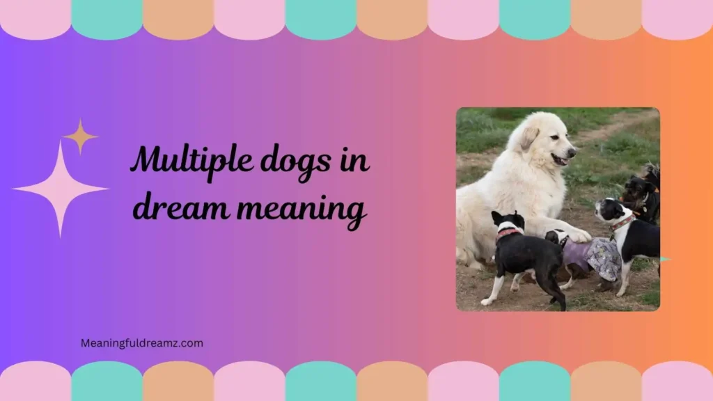 What is Multiple Dogs in Dream Meaning?