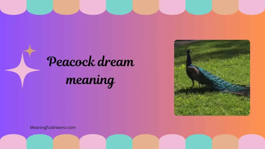 What is Peacock Dream Meaning?