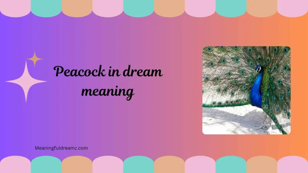 What is Peacock in Dream Meaning?
