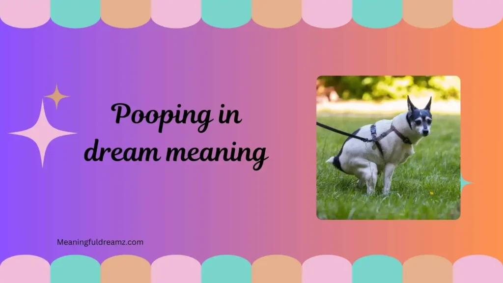 What is Pooping in Dream Meaning?