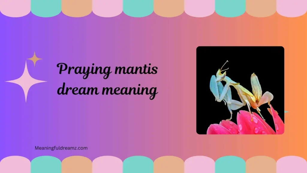 What is Praying Mantis Dream Meaning?