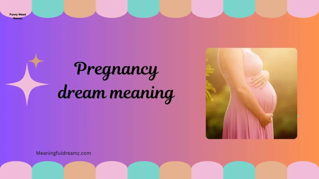 What is Pregnancy Dream Meaning?