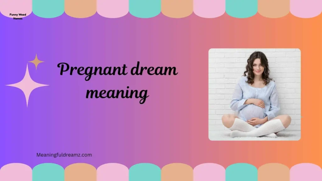 What is Pregnant Dream Meaning?