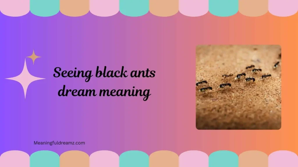 What Is Seeing Black Ants Dream Meaning?