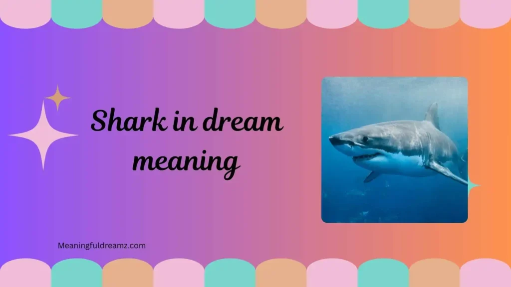 What is Shark in Dream Meaning?