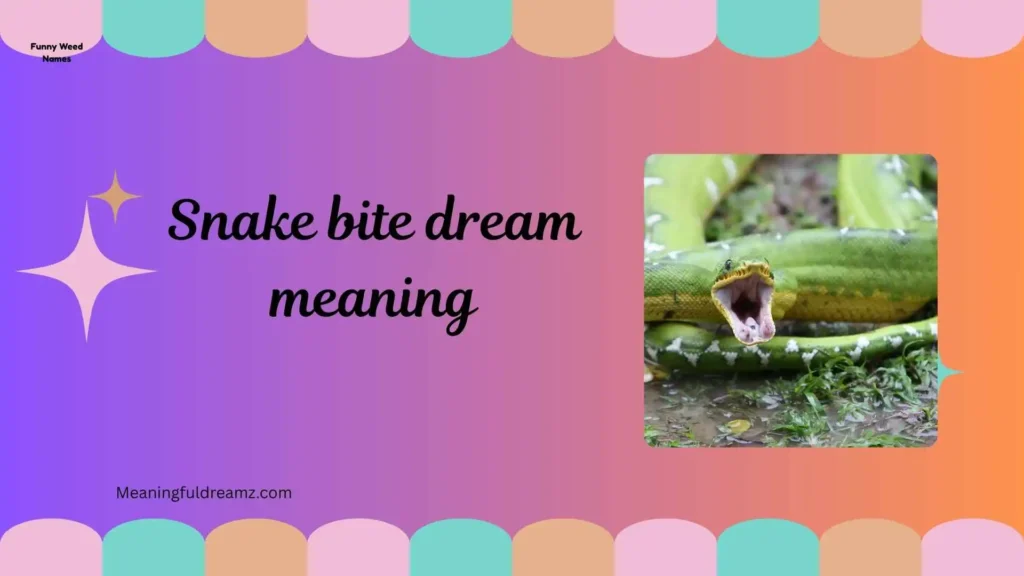 What is Snake Bite Dream Meaning?