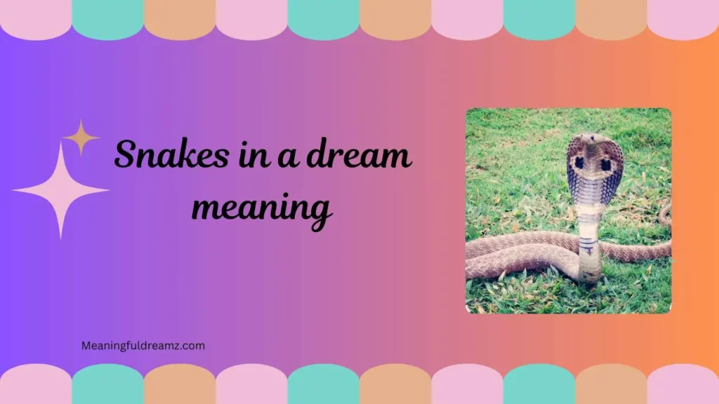  What is Snakes in a Dream Meaning?