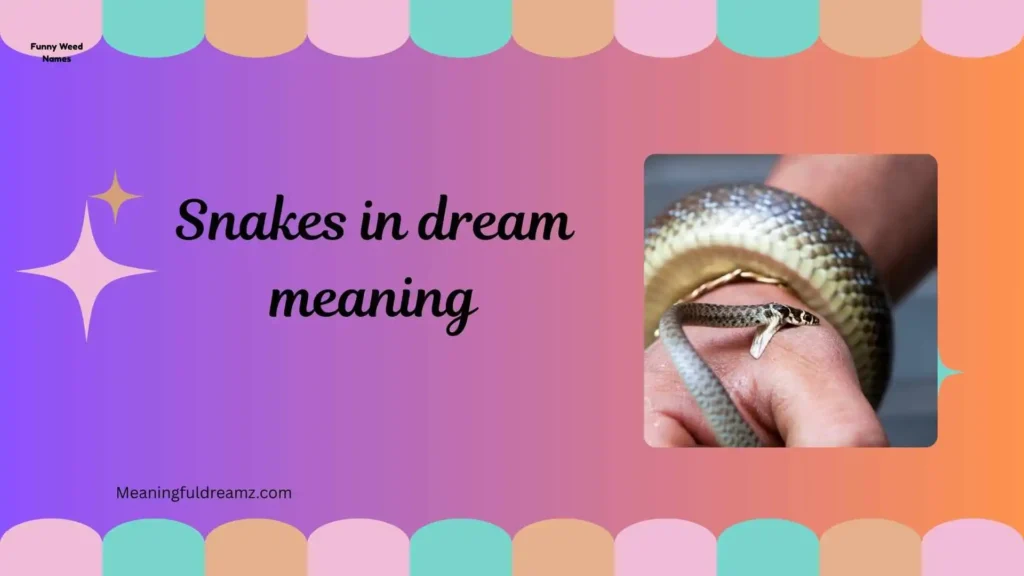 What is Snakes in Dream Meaning?