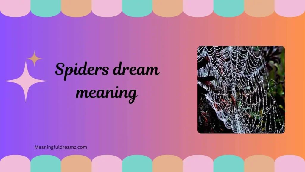 What is Spiders Dream Meaning?