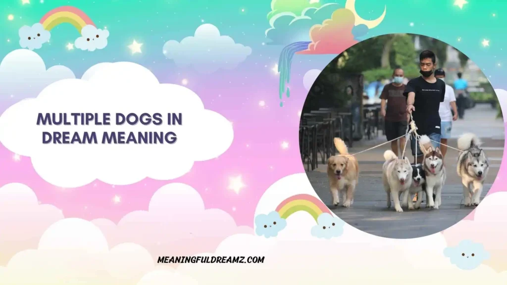 What is the spiritual meaning of dogs chasing you in a dream