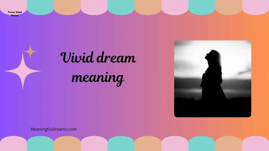What is Vivid Dream Meaning?