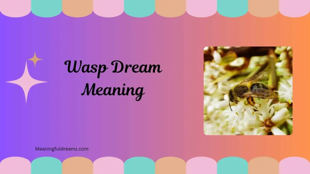 What Is Wasp Dream Meaning?