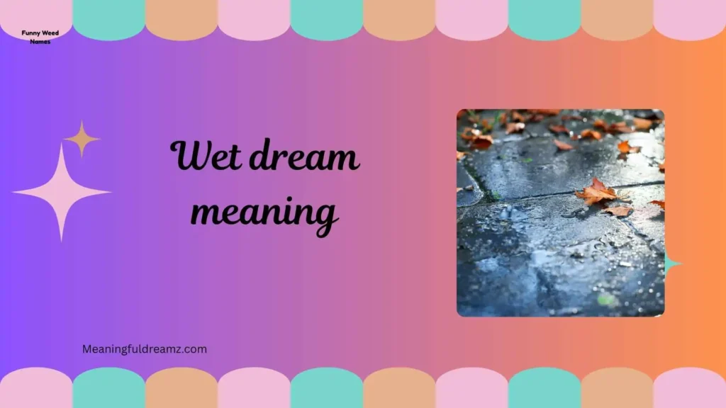 What is Wet Dream Meaning?